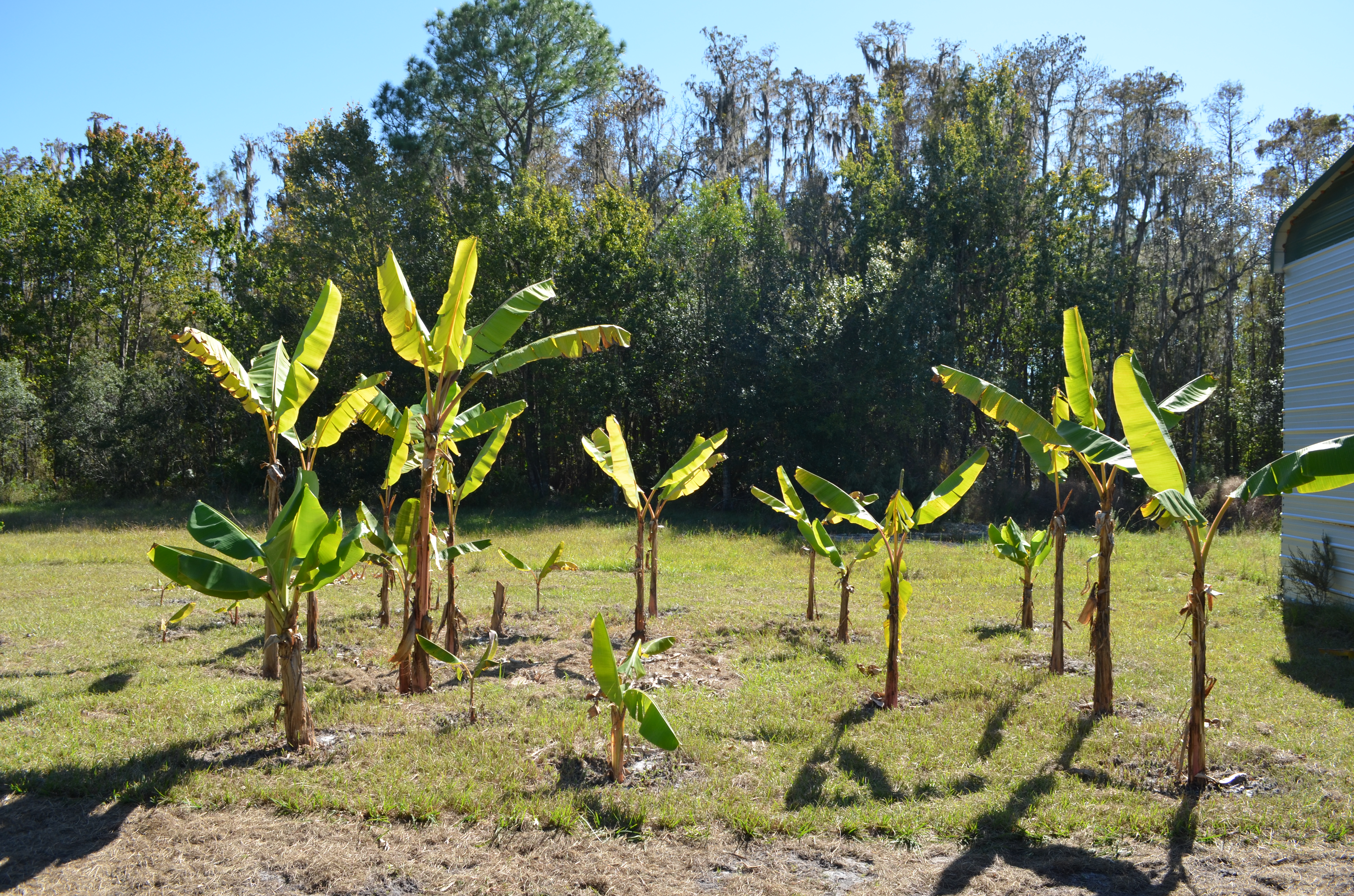 ./2016/24 - Miami/DSC_0294.JPG